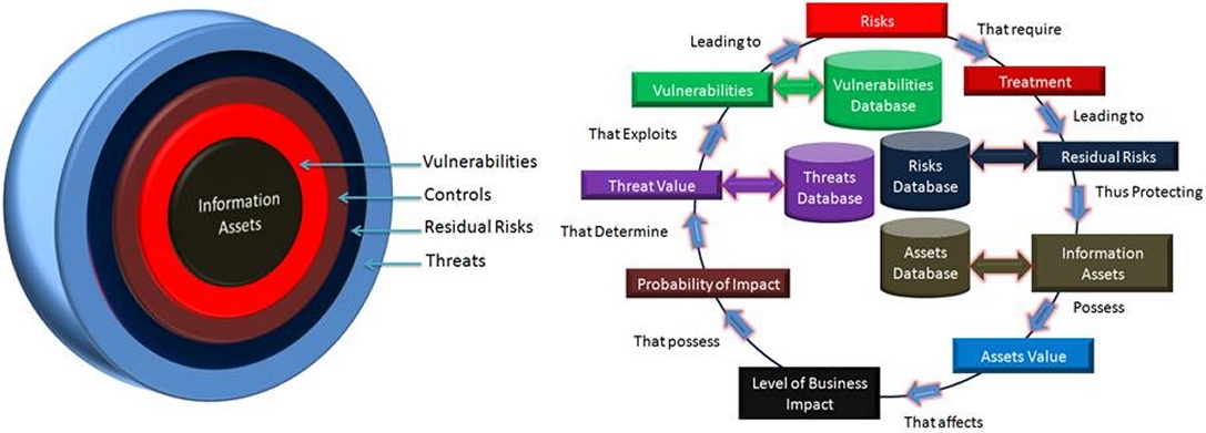 Risk management thesis